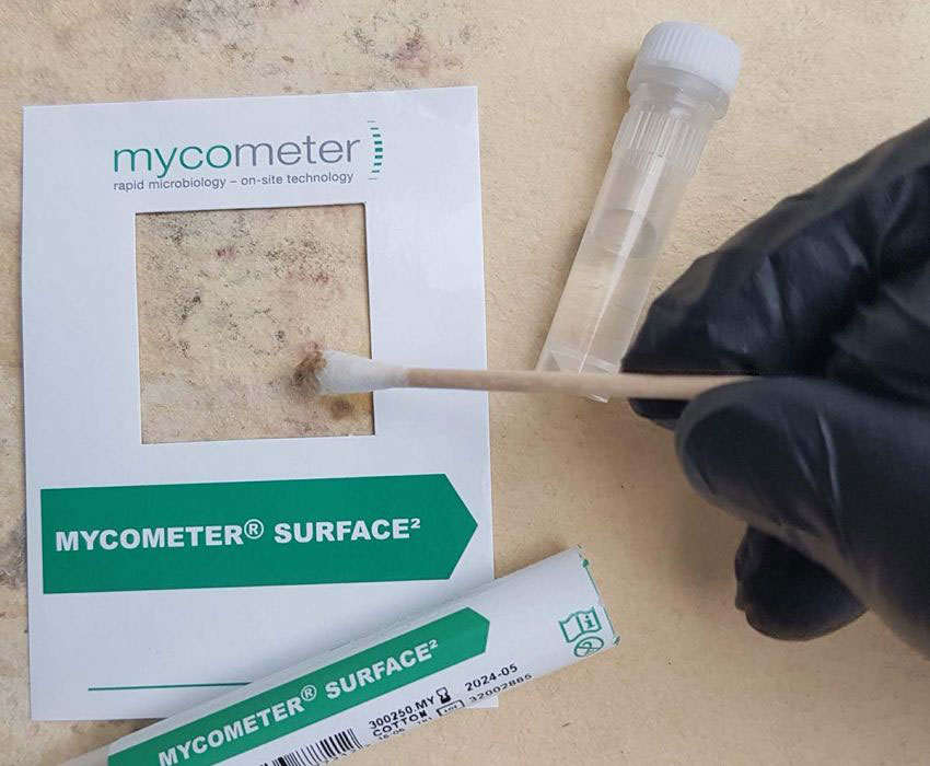 Mycometer Surface Fungi